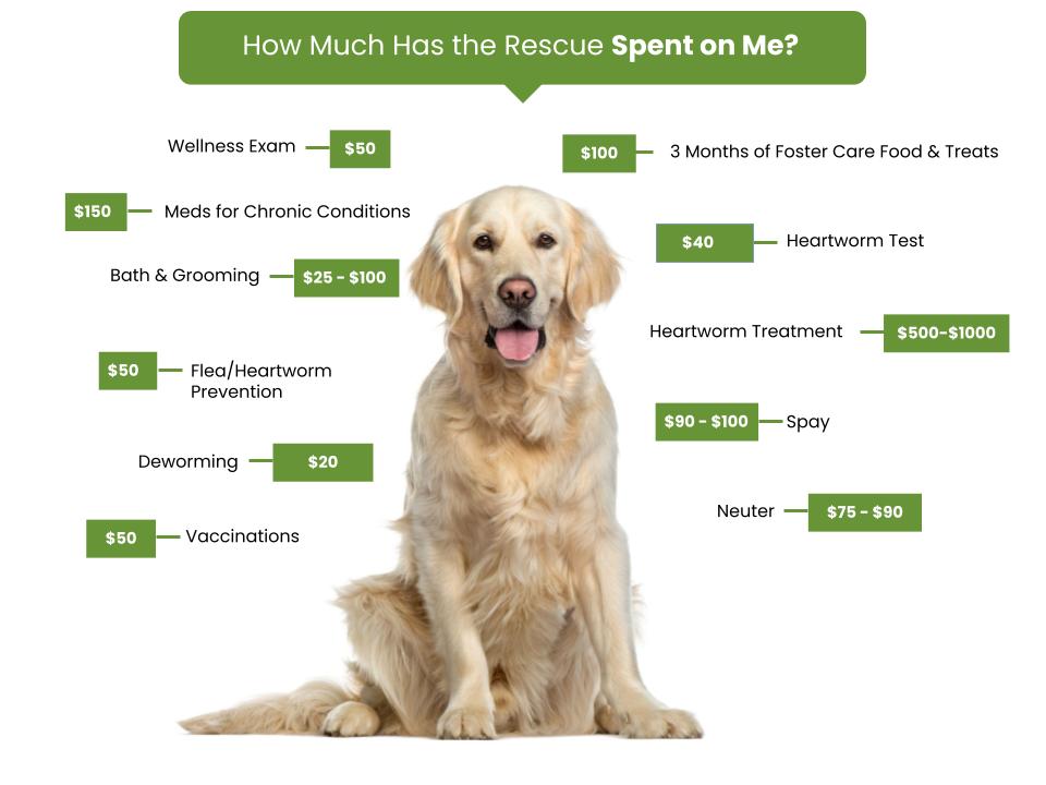 Field of Dreams Rescue - Fee Graphic-Dogs