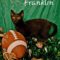 Franklin